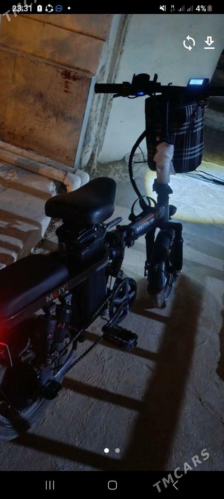 tigir - Gurtly - img 2