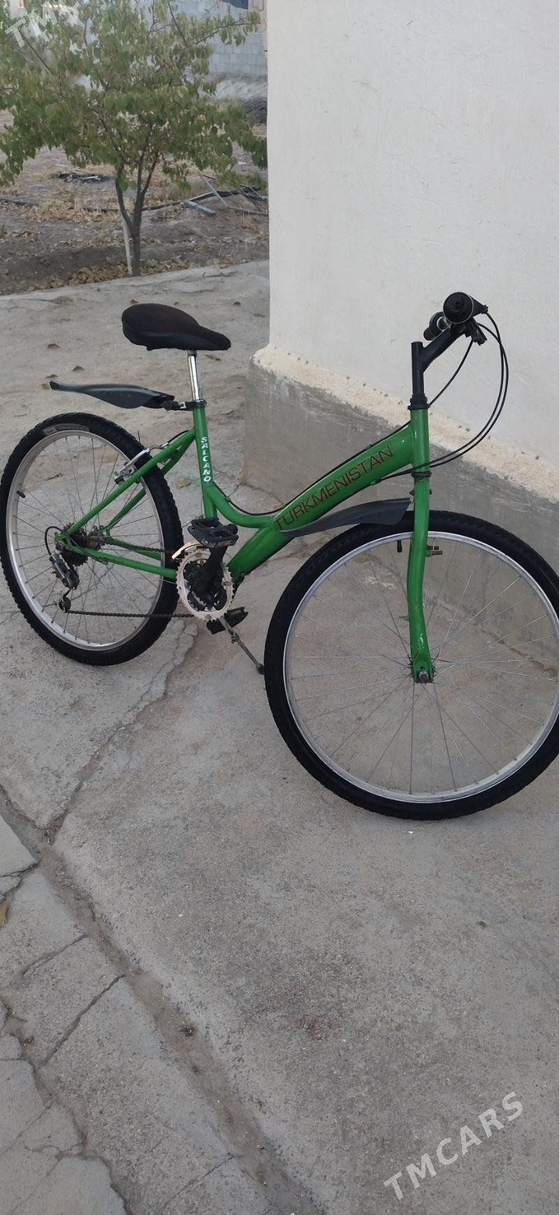 tigir - Бузмеин - img 3