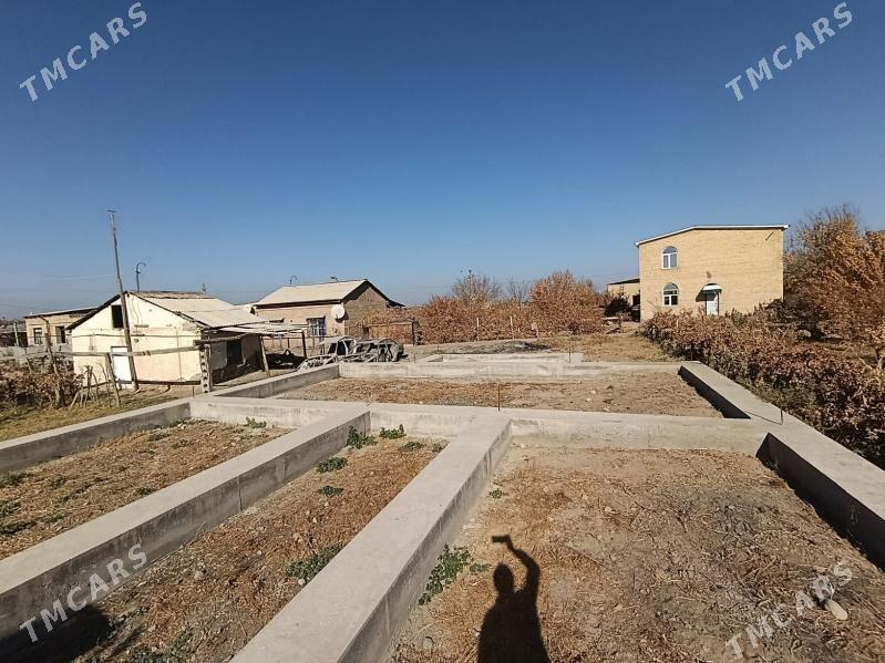 daça berzen kanal - Туркменабат - img 4