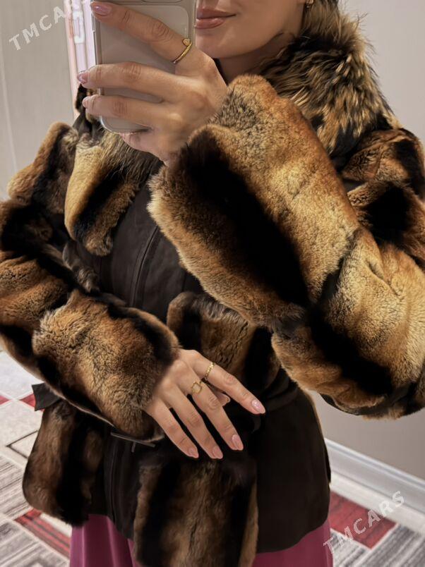 şuba - Türkmenbaşy - img 2