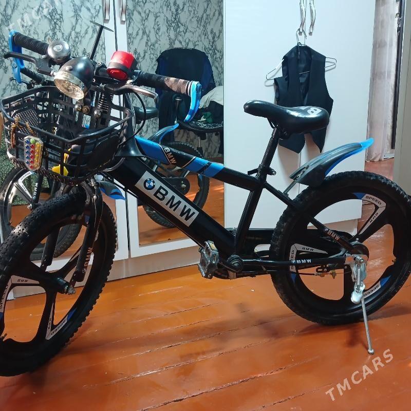 tigir - Büzmeýin - img 5