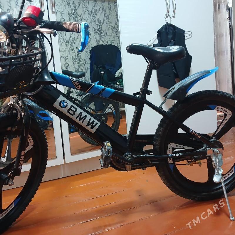 tigir - Büzmeýin - img 3