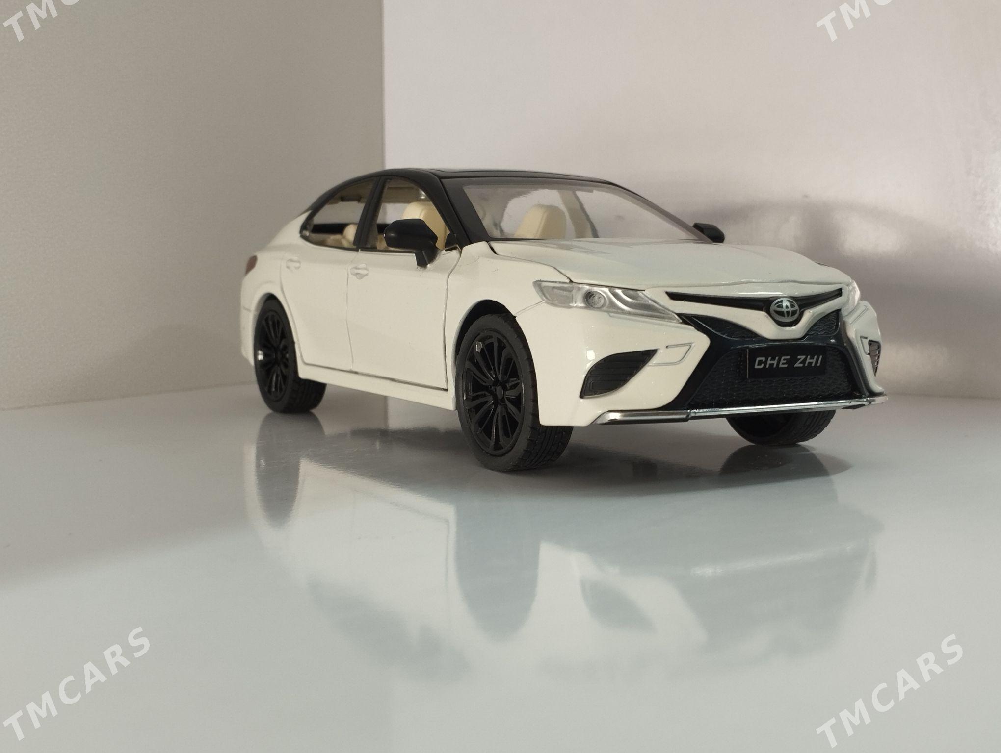 Kemri - Daşoguz - img 2