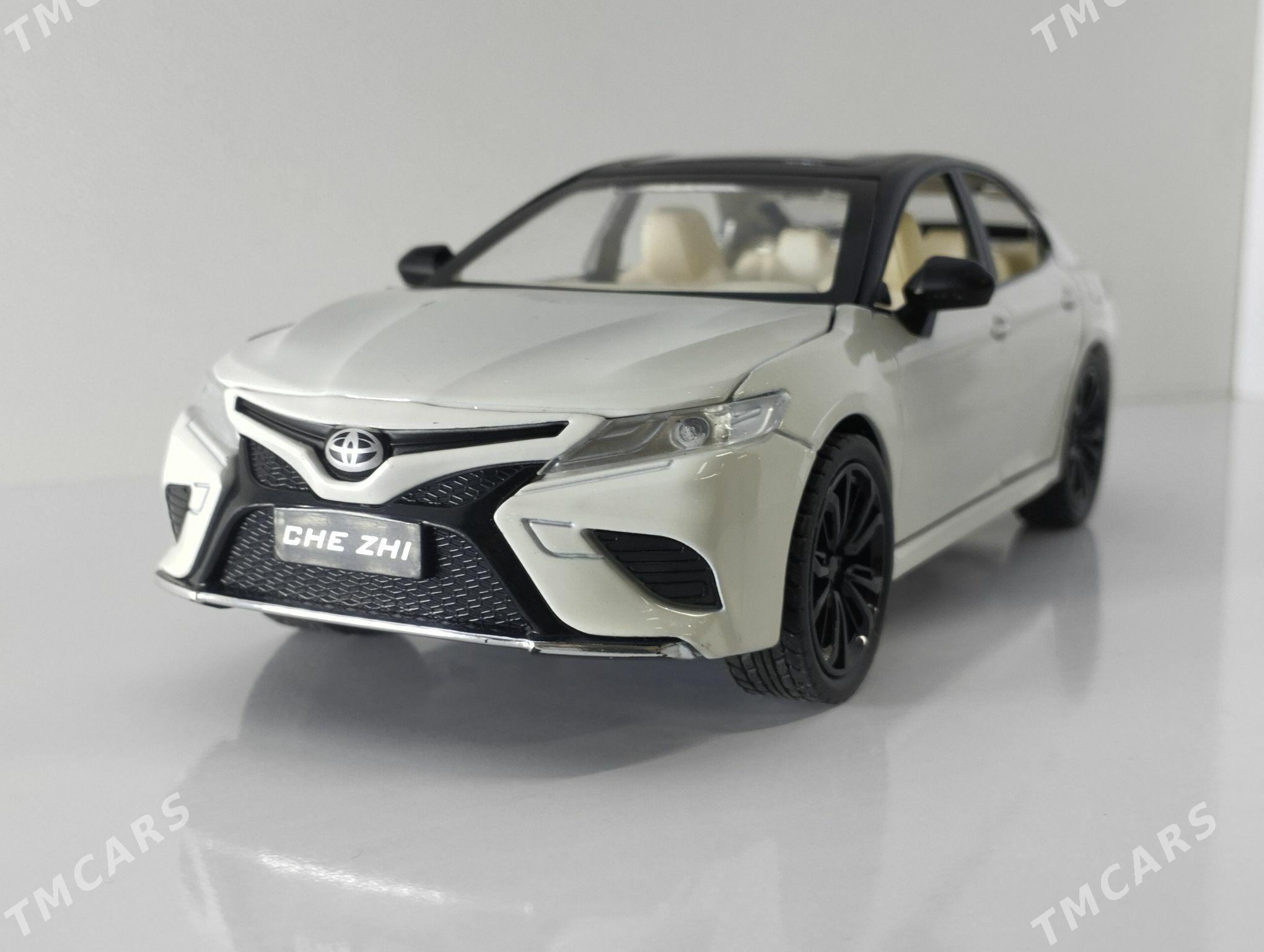 Kemri - Daşoguz - img 4