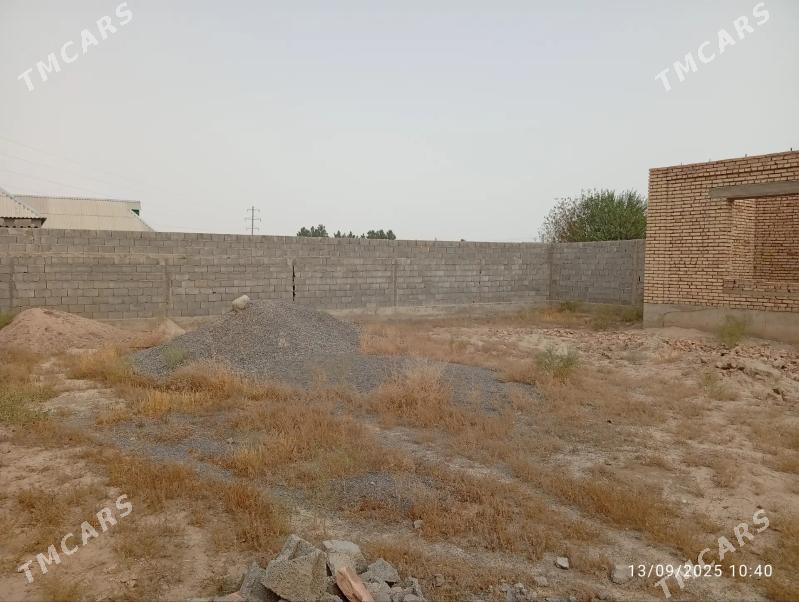 kaka satlyk jay - Kaka - img 3