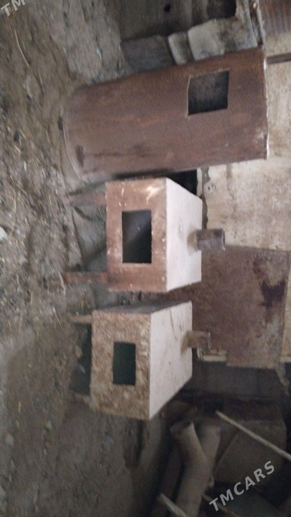 Peç - Gumdag - img 2