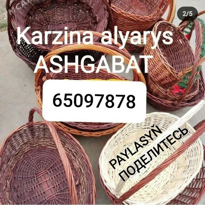 Karzina - Бузмеин ГРЭС - img 2