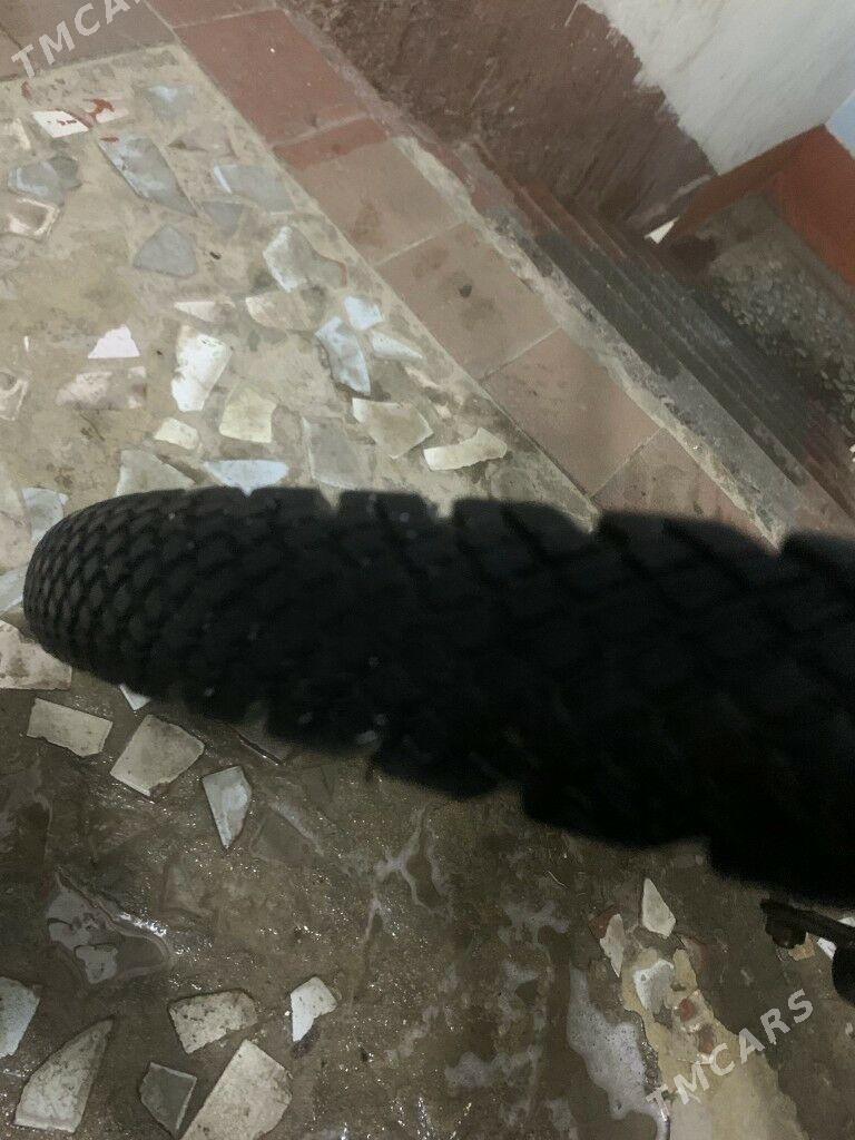 Meilda - Türkmenbaşy - img 3