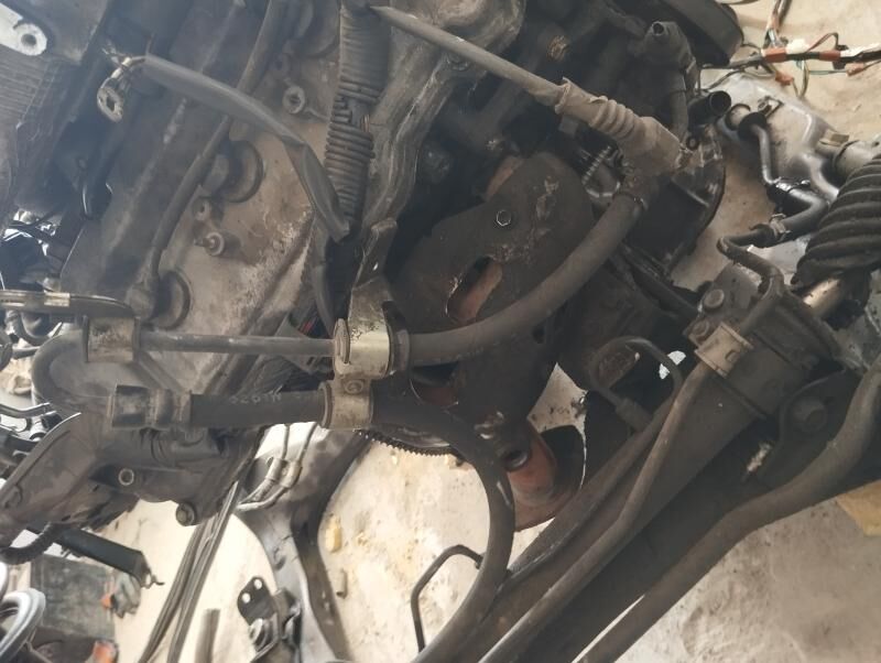 Sienna gapy petle 1 TMT - Мары - img 9