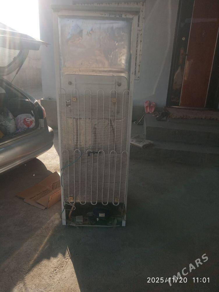 haladynyk - Änew - img 2