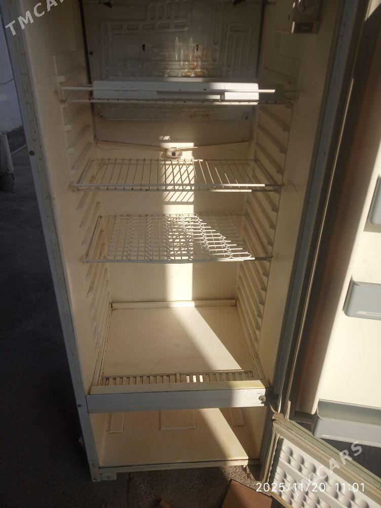 haladynyk - Änew - img 5