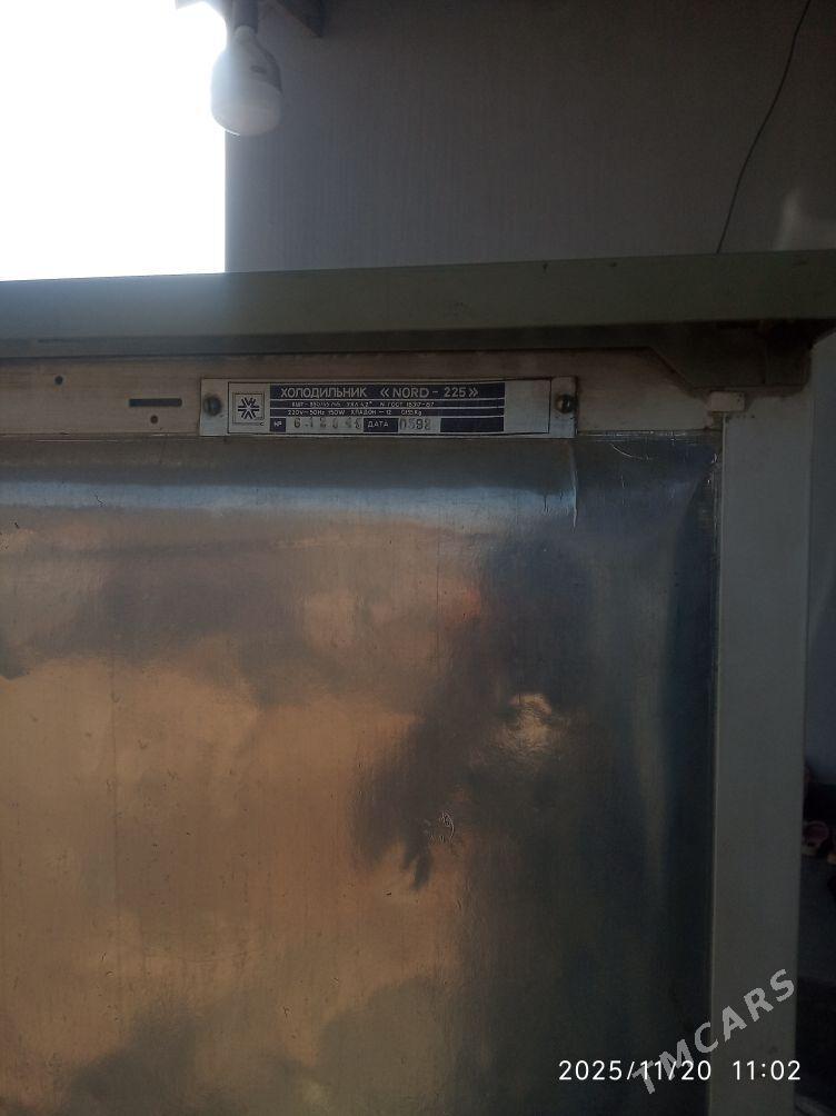 haladynyk - Änew - img 4