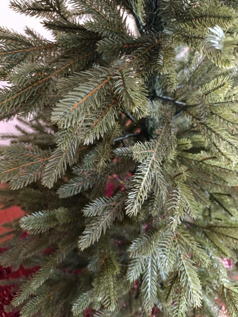 Yolka - Mary - img 4