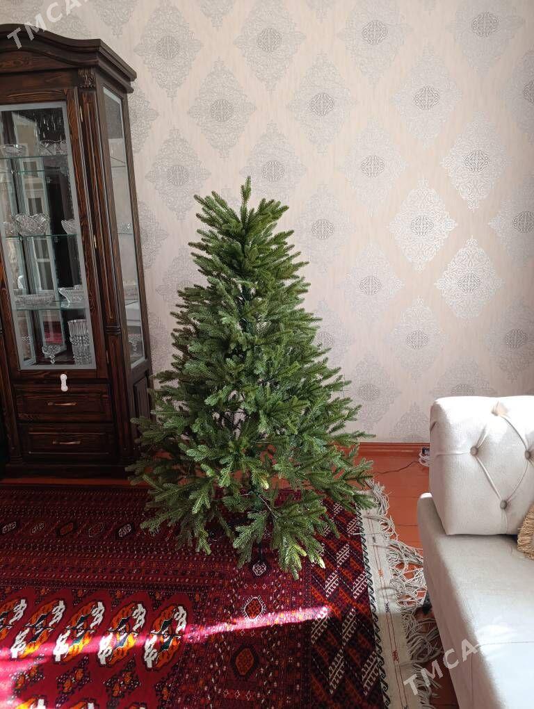 Yolka - Mary - img 2