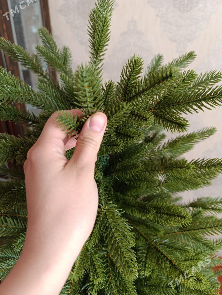 Yolka - Mary - img 3