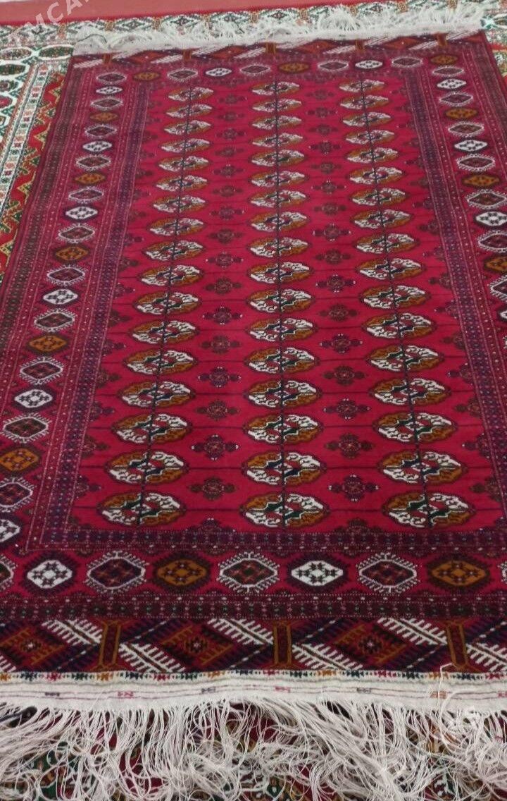 El haly 2,5-lyk - Bäherden - img 1