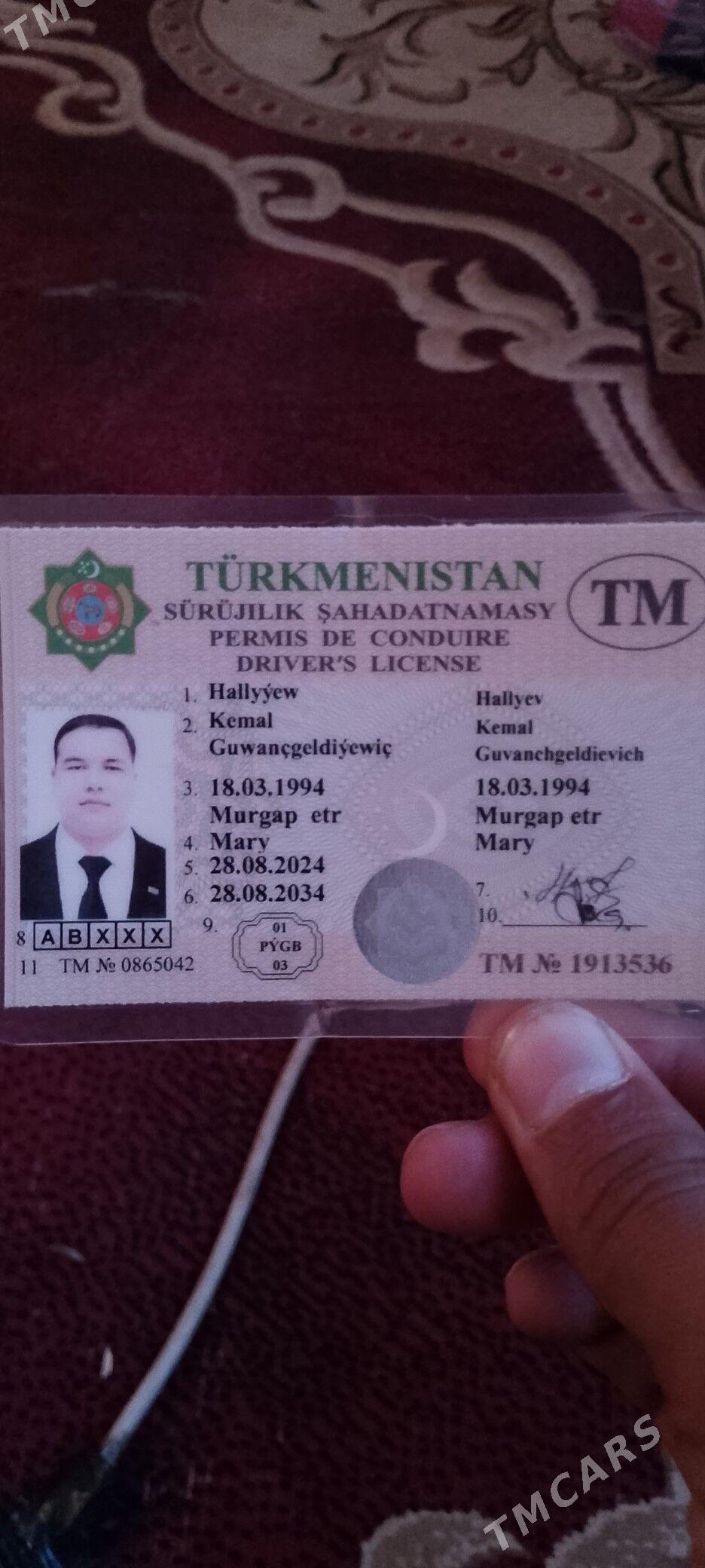 hallyyew kemall - Sakarçäge - img 2