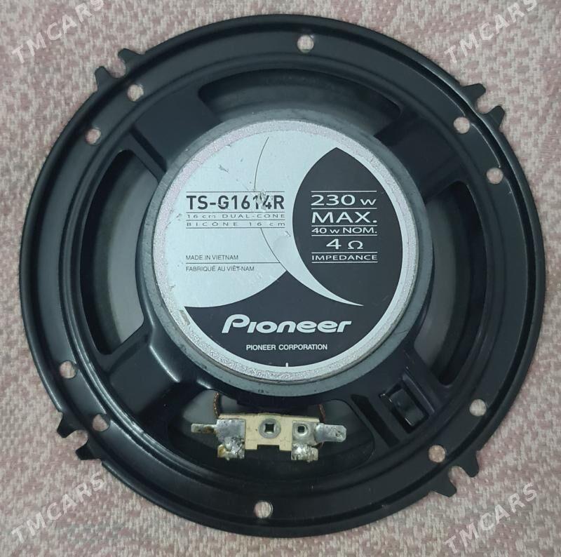 Pioneer - Büzmeýin GRES - img 3