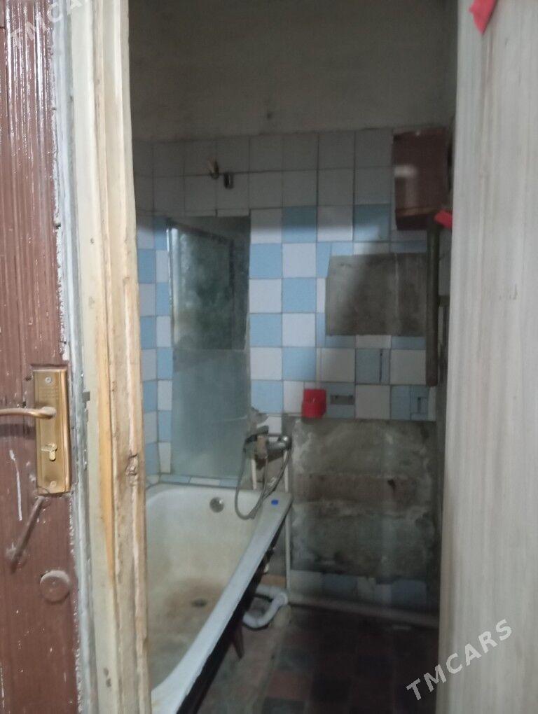 Satlyk jay - Мары - img 4