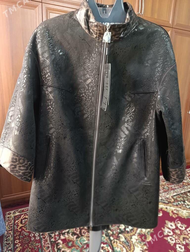 Täzeje tigrowyy we zmeiiniý - Дашогуз - img 2