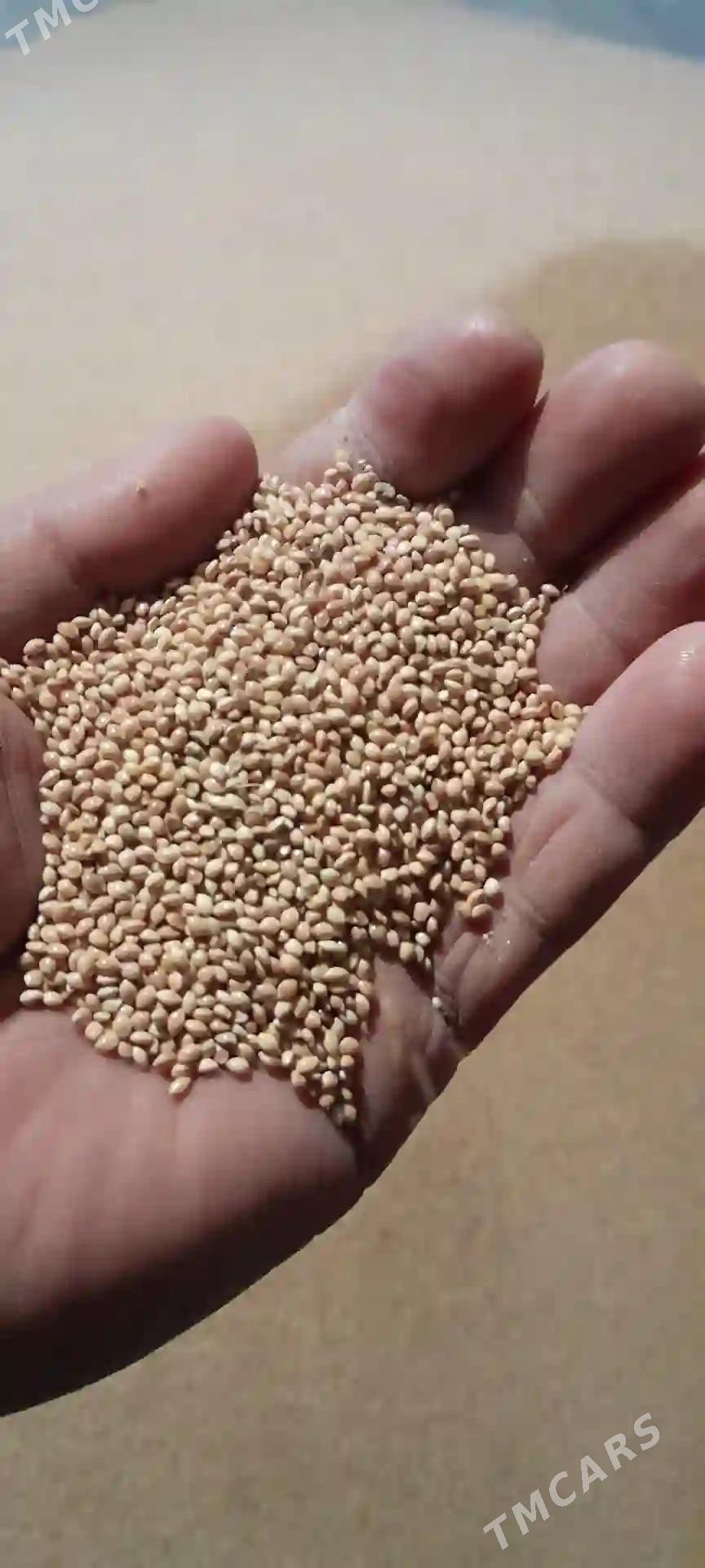 dary - Ёлётен - img 3