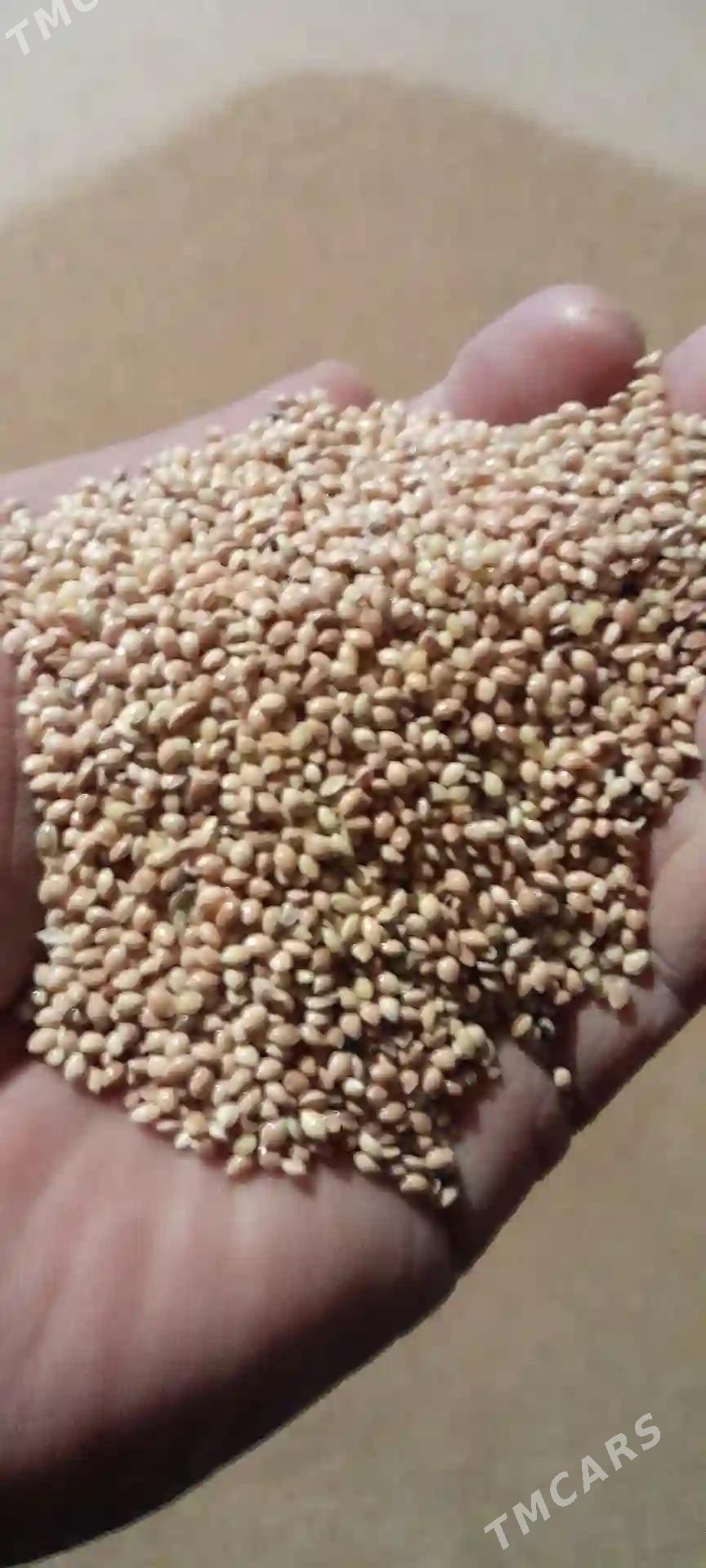 dary - Ёлётен - img 2