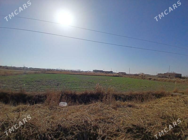 mellek yer - Гороглы (Тагта) - img 2