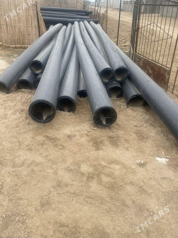 PE turba - Sakarçäge - img 5