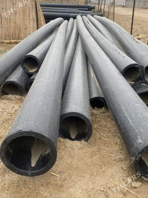 PE turba - Sakarçäge - img 4