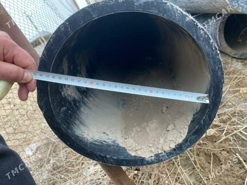 PE turba - Sakarçäge - img 3