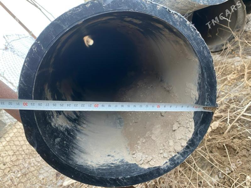 PE turba - Sakarçäge - img 2