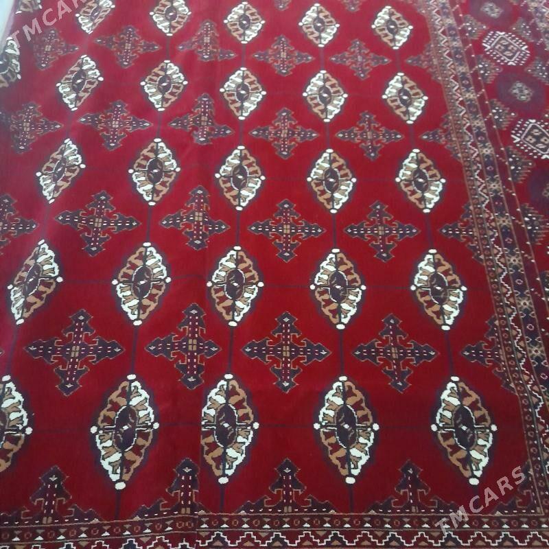 Haly. - Daşoguz - img 2