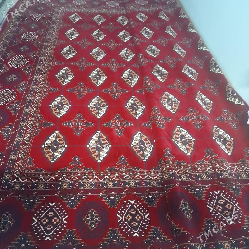 Haly. - Daşoguz - img 4