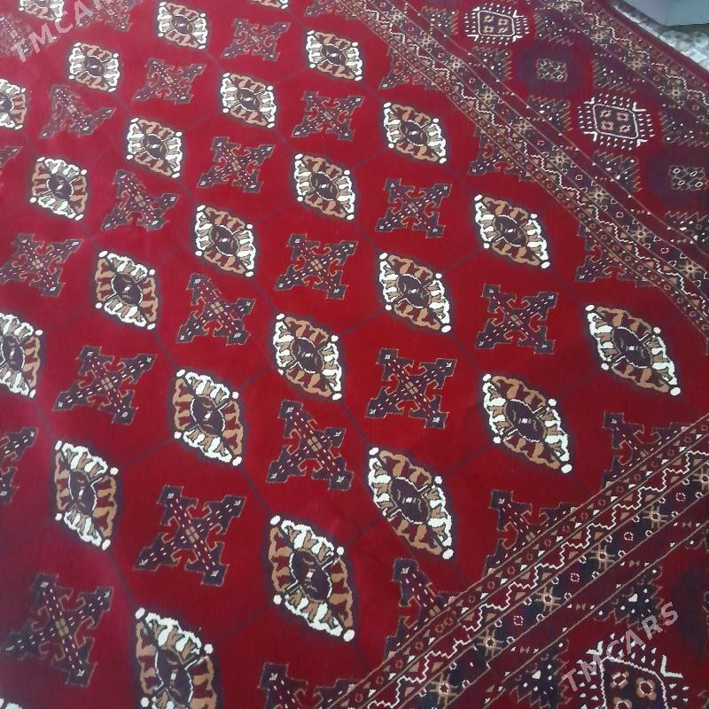 Haly. - Daşoguz - img 3