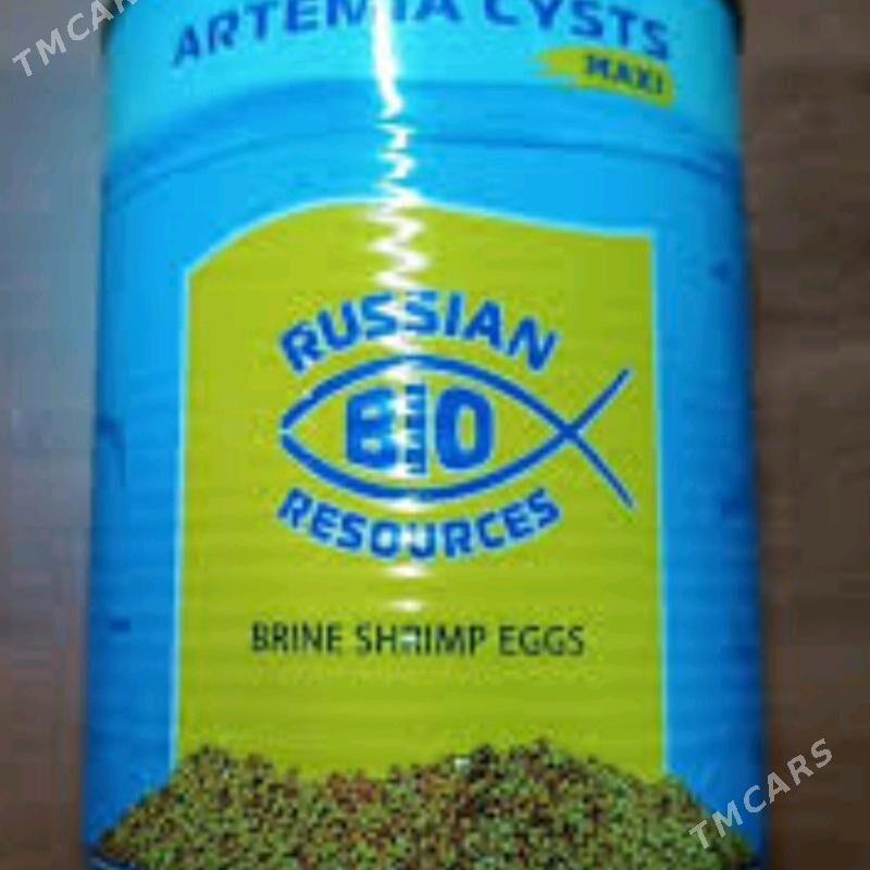 артемия цисты - Туркменабат - img 1