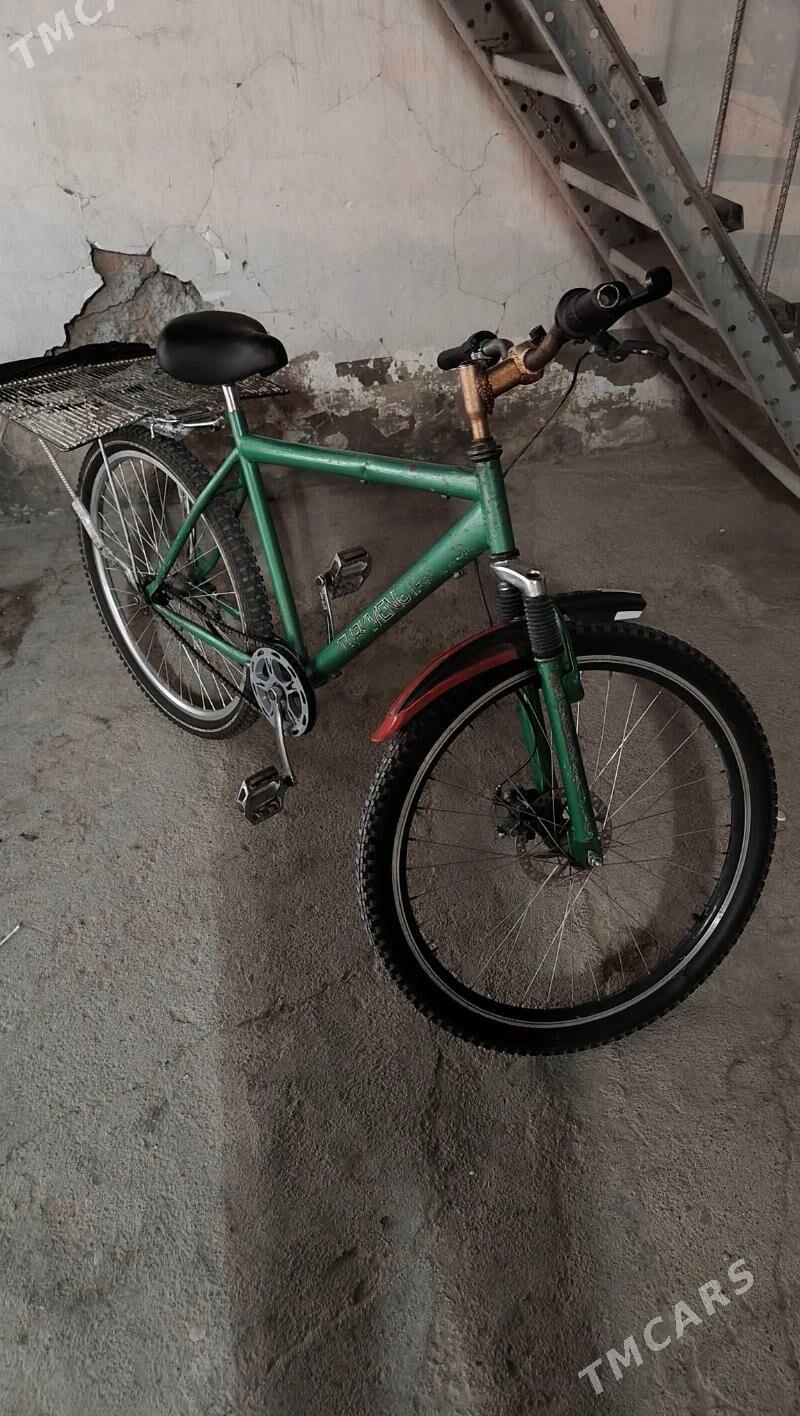 tigir Turkmenistan - Хитровка - img 3