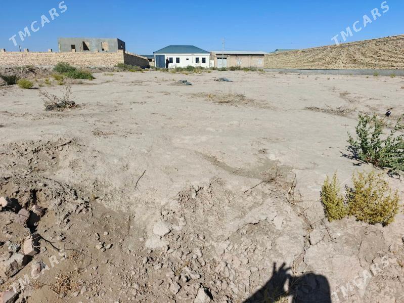 mellek - Туркменабат - img 2