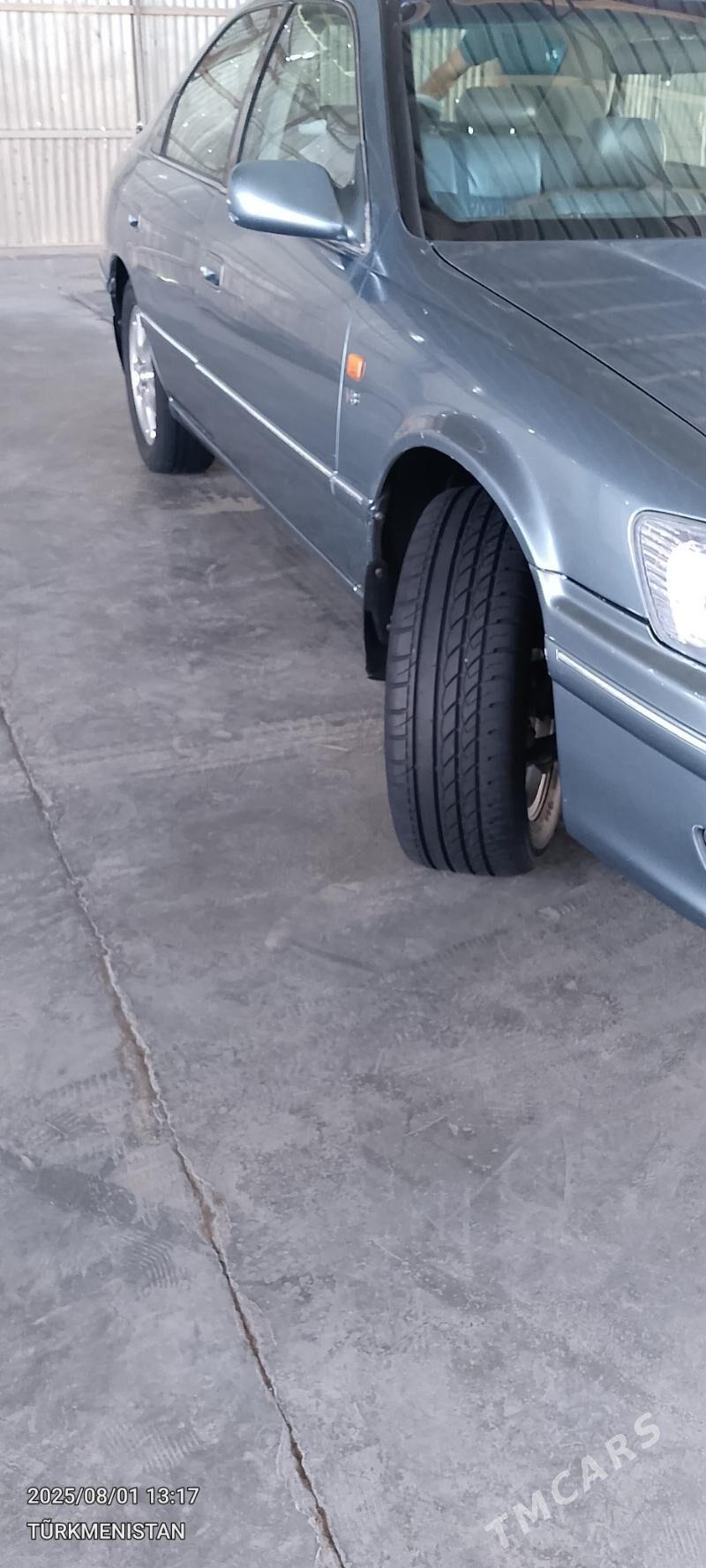 MOYKACY - Sakarçäge - img 2