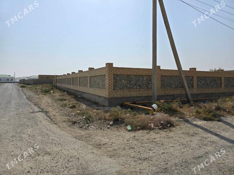 ucaska - Кака - img 4