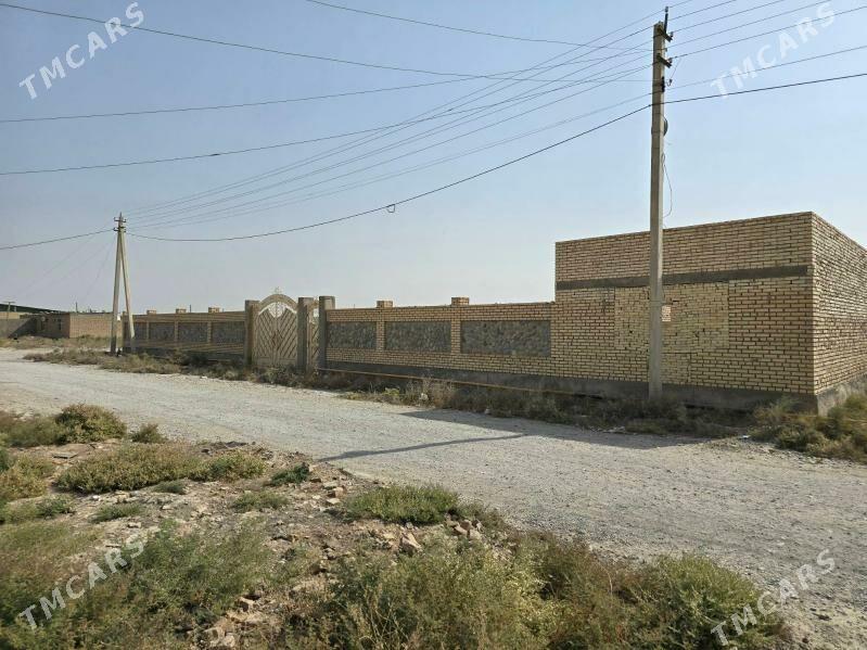 ucaska - Кака - img 6