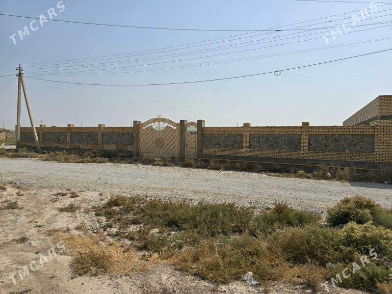 ucaska - Кака - img 5