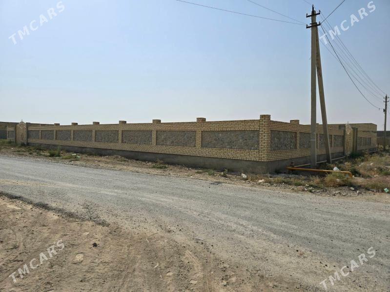 ucaska - Кака - img 3