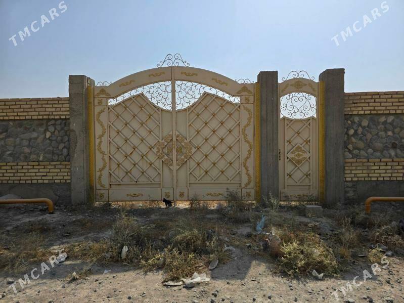 ucaska - Кака - img 2