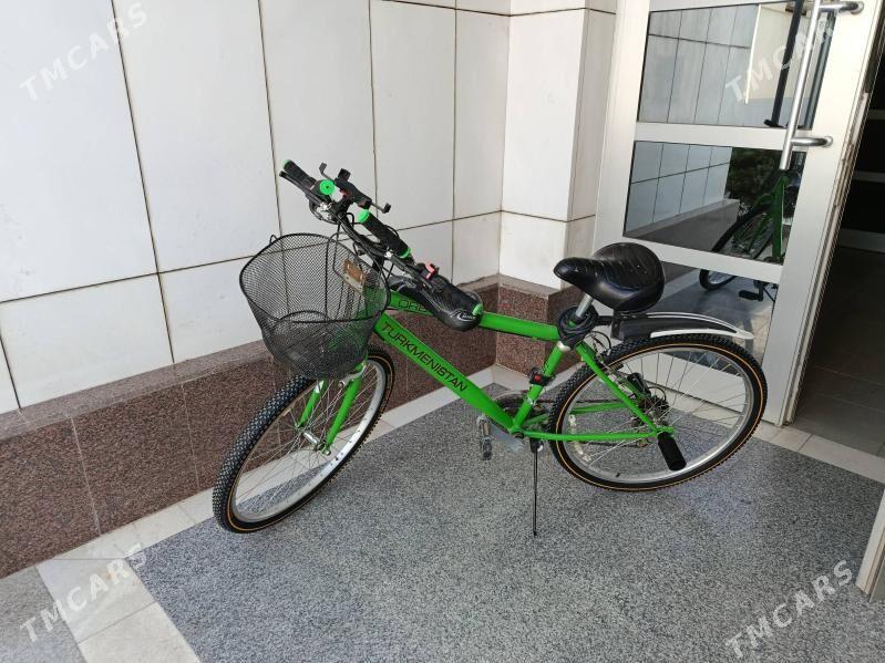 Turkmenistan tigir - Бузмеин - img 1