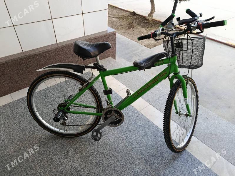 Turkmenistan tigir - Бузмеин - img 2