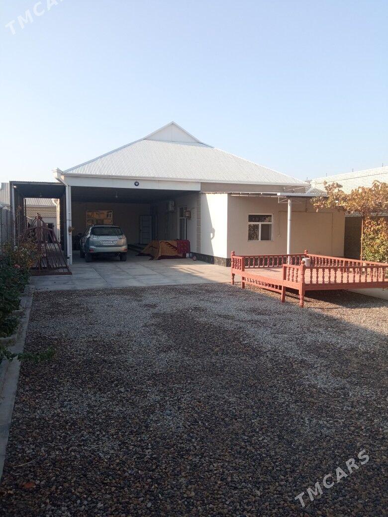 Satlyk howly - Мары - img 4