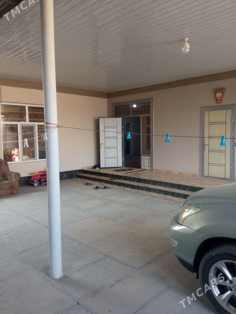 Satlyk howly - Мары - img 5