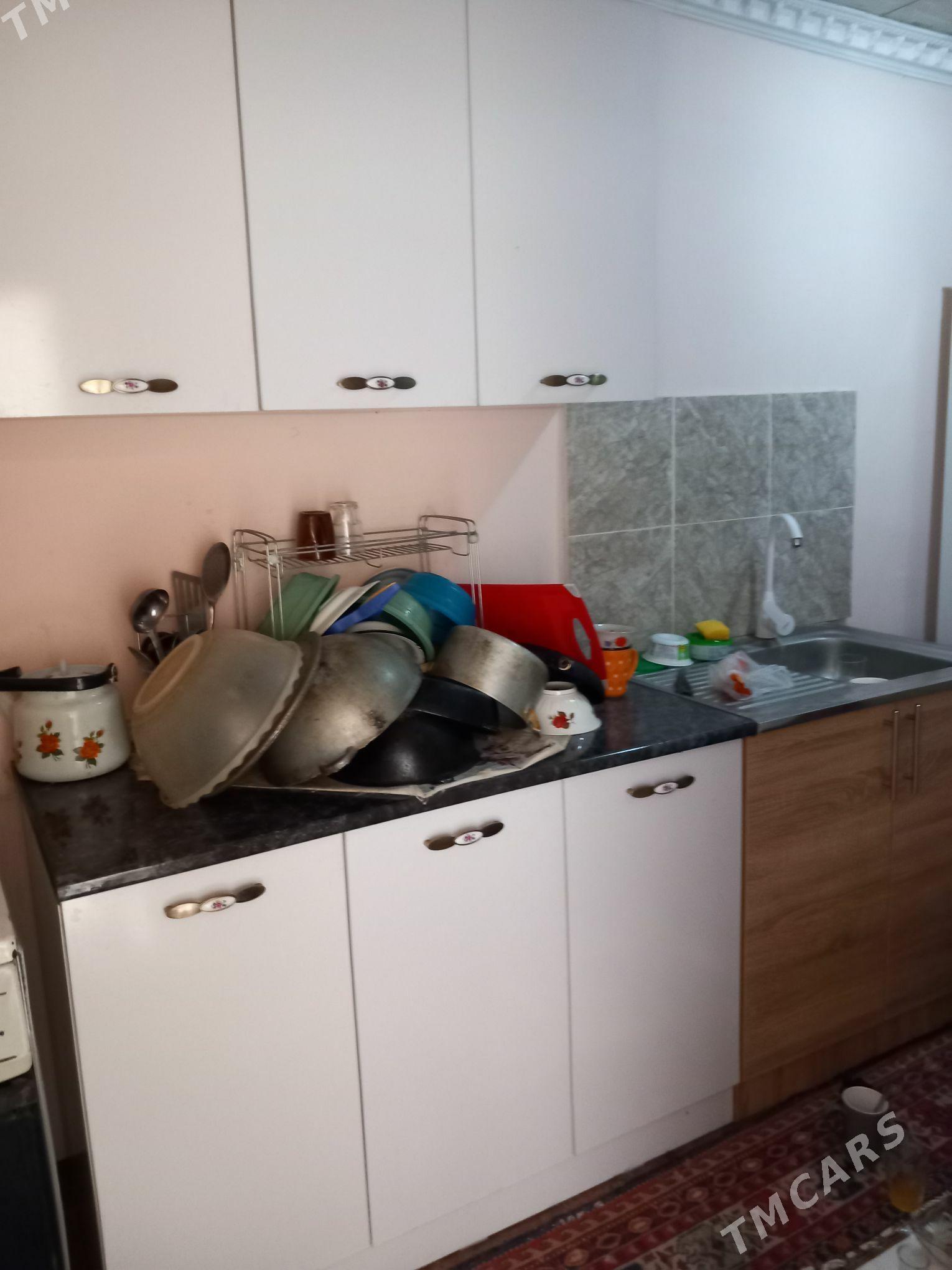 Satlyk jay - Mary - img 2