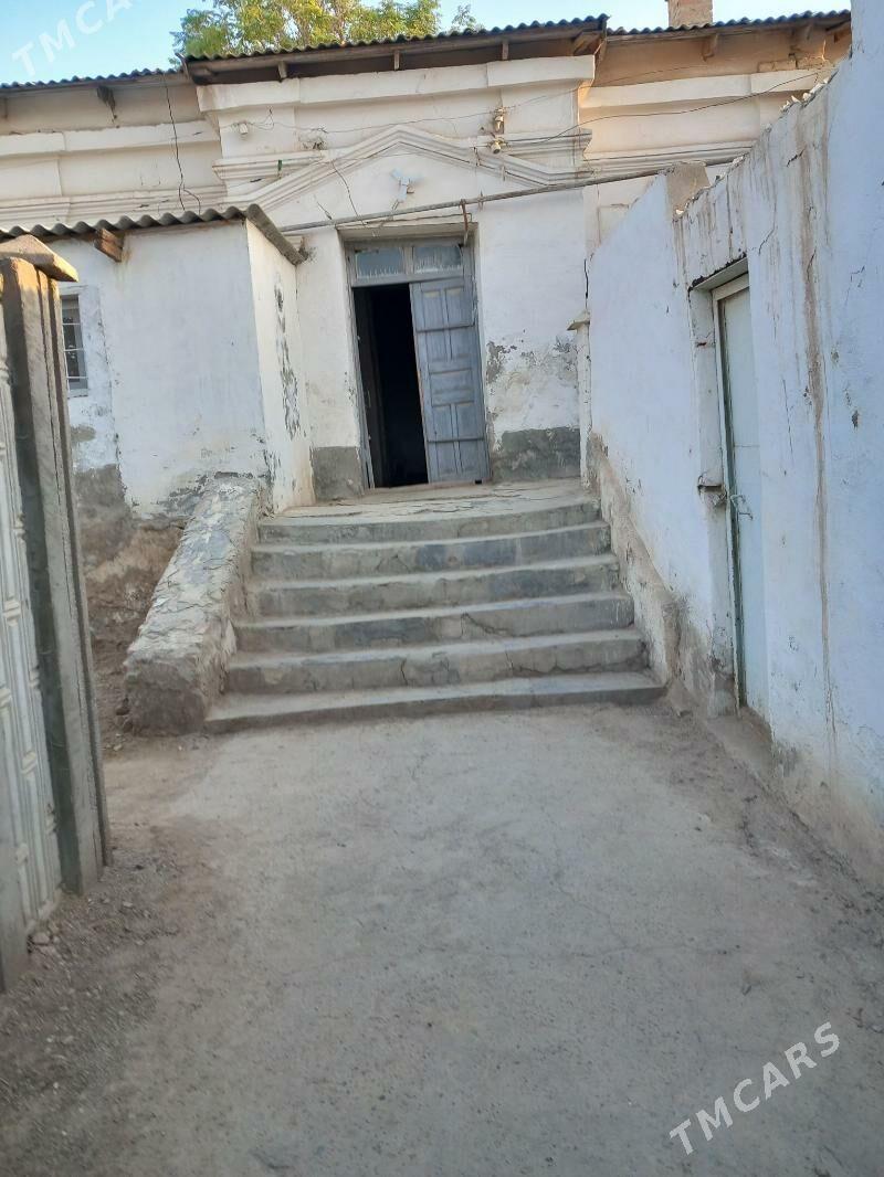 Satlyk jay - Mary - img 1