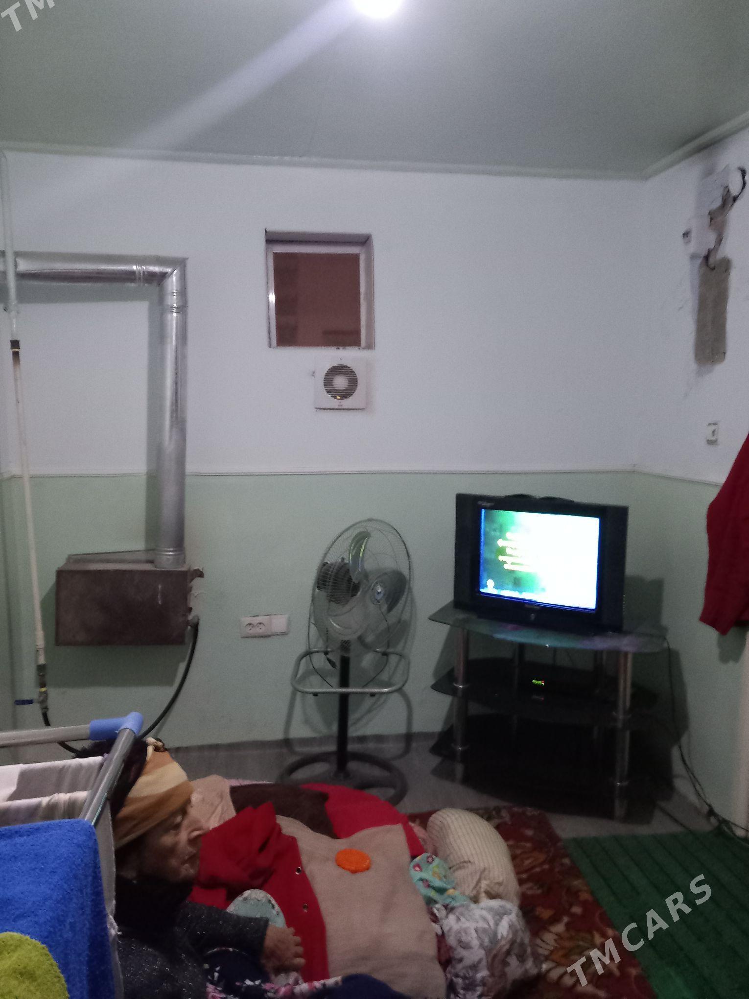 Satlyk jay - Mary - img 3